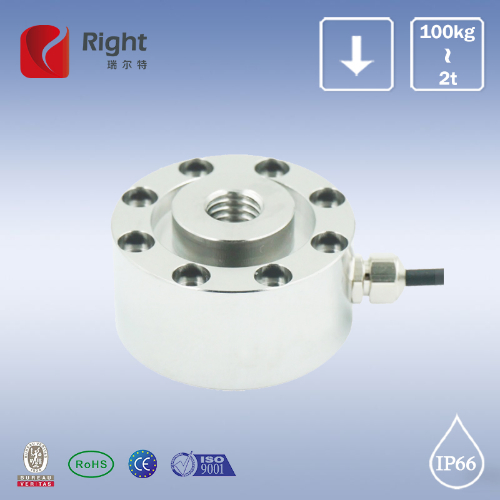 R248 微型輪輻式傳感器